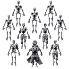 Human Skeleton Set (10U)