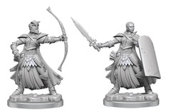 W01 Seelah, Female Human Champion