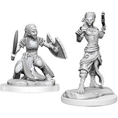 Shifter Fighter (Nolzur's - W20)