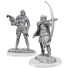 Human Rogue (Deep Cuts - W20)