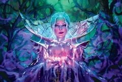 Wilds of Eldraine Store Championship