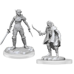 Elf Rogue Female & Half-Elf Rogue Protege (Nolzur's - W19)