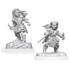 Halfling Rogue Female (Nolzur's - W20)