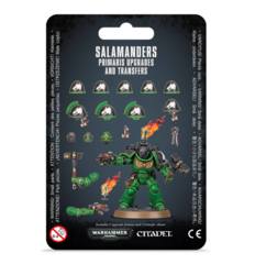 Salamanders Upgrades & Transfers