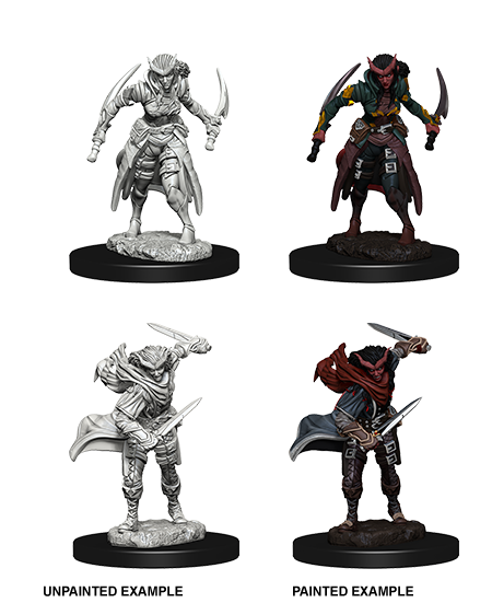Tiefling Rogue Female (Nolzurs - W07)