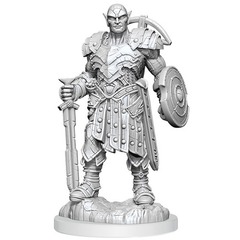 Earth Genasi Fighter Male (Nolzur's - W20)