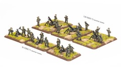 81mm and 120mm Mortar Platoon