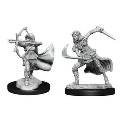 Dungeon & Dragons Mini: Air Genasi