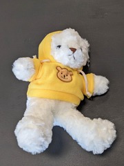 Teddie bear with hoodie Plush