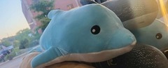 Dolphin Plush