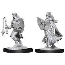 Dungeons & Dragons Minis: Wave 14 Kalashtar Cleric Female