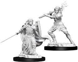 Dungeons & Dragons Minis: Wave 10 - Female Human Paladin