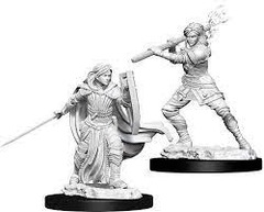 Dungeons & Dragons Minis: Wave 10 - Female Human Paladin