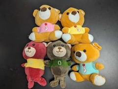 Bear with Shirt Plush
