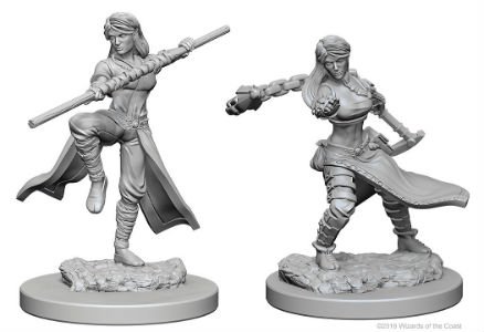 Dungeon & Dragons Mini: Human Female Monk