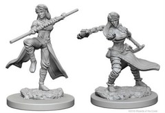 Dungeon & Dragons Mini: Human Female Monk