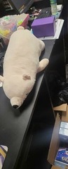 Sleeping Bear Plush