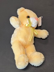 Teddy Bear Plush
