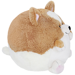 Squishable Corgi - 15