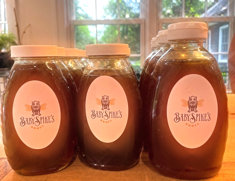 Baby Spikes Honey • 1 LB Bottle