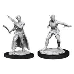 (RETIRED) D&D Nolzur's Marvelous Unpainted Minis: W13 Female Shifter Rogue