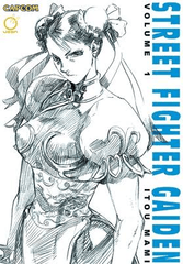 Street Fighter Gaiden Vol 1