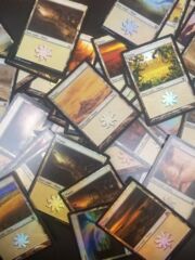 Plains - Bulk Foil Basic Land