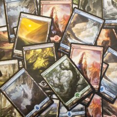 Plains - Bulk Full Art Basic Lands