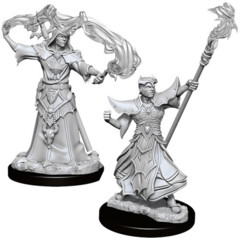 Pathfinder Battles Unpainted Minis - Male Human Sorcerer