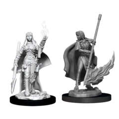 Pathfinder Battles Unpainted Minis - Female Human Oracle (Magic User)