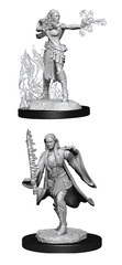 D&D Nolzur's Marvelous Miniatures: Multiclass Warlock + Sorcerer Female (Wave 13)