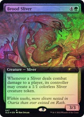 Brood Sliver - Foil - Extended Art