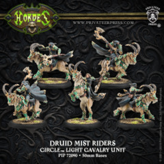 PIP72090 HRD CoO Druid Mist Riders Box