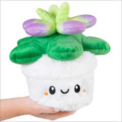 Mini Squishable Succulent