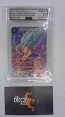 Son Gohan, Beast Roar SPR -AGS 10