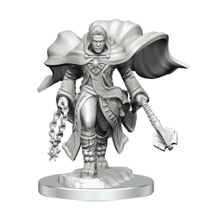 D&D Nolzurs Marvelous Miniatures: W20 Aasimar Cleric Male