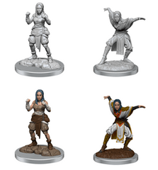 Pathfinder Deep Cuts: Half-Elf Monk Females