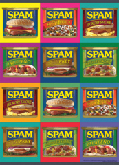 SPAM™ 