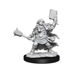 Dungeons & Dragons Frameworks miniature Model Kit Dwarf Cleric Female Figurine