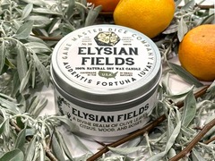 Elysian Fields Gaming Candle 2oz