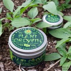 Plant Growth Gaming Candle - 8oz