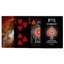 Bicycle Playing Cards - Stargazer 202