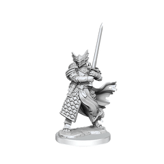 Dungeons & Dragons Frameworks miniature Model Dragonborn Paladin Male Figurine