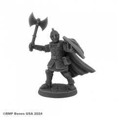 07148 - Sir Rudolf, Heroic Fighter