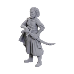 Dungeons & Dragons: Nolzur's Marvelous Miniatures - Ansalon Human Rogue