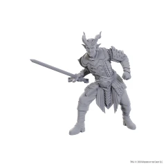 Balders Gate: Ulder Ravengard & Zevlor 96370
