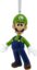 Super Mario Luigi Hallmark Ornament