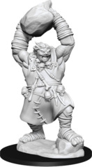 Pathfinder Deep Cuts Unpainted Miniatures  W11 Ogre