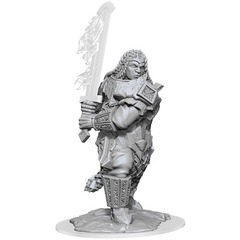 Dungeons & Dragons Nolzur`s Marvelous Unpainted Miniatures: W18 Fire Giant