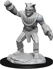 Dungeons & Dragons Nolzur`s Marvelous Unpainted Miniatures  W11 Stone Golem